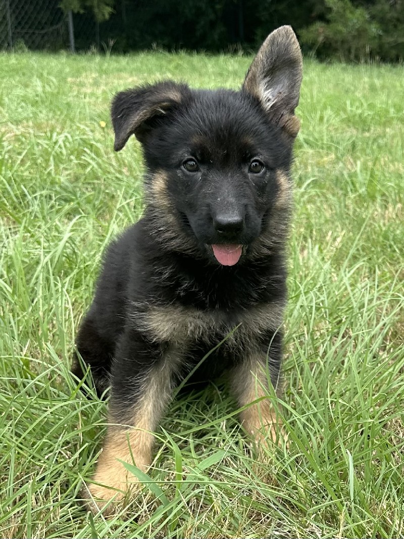 Macie vom Nevadahaus